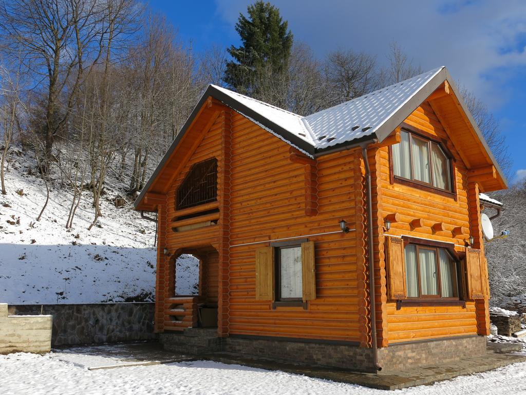Cottage Goyra Jaremče Exteriér fotografie
